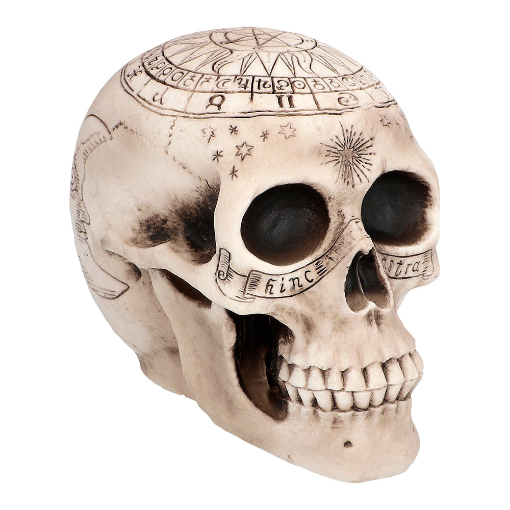 Tête de Mort Astronomy Décoration – Halloween et Fête Horreur