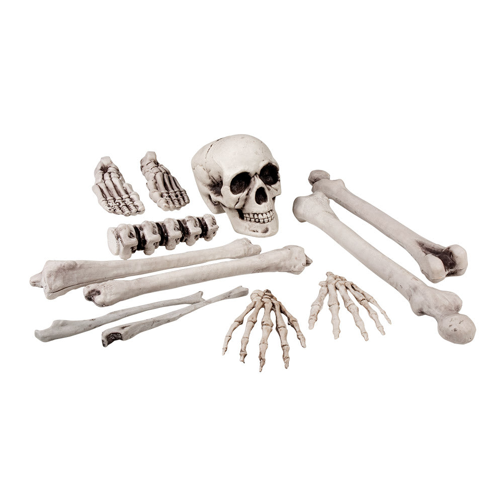 Set Tête de Mort et Os 23 cm – Halloween et Décoration Squelette