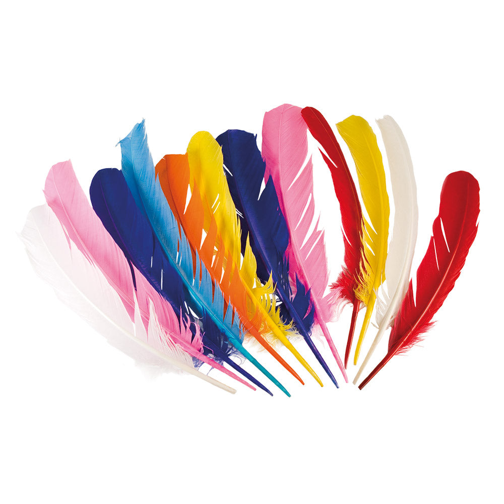 Set of 12 colorful chicken feathers, 30 cm long, ideal for crafts, costumes, and Native American themed decorations.
