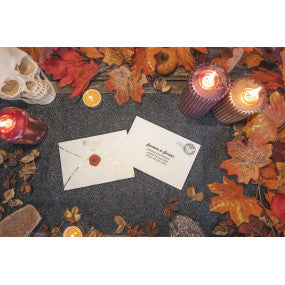 Serviettes anniversaire Apprenti Sorcier – – lot de 16 – 30x20 cm
