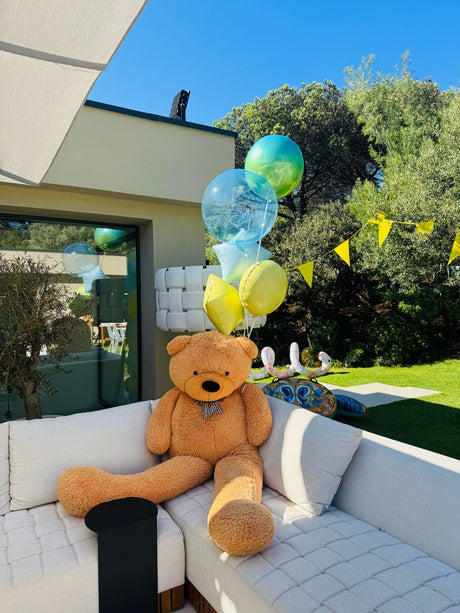 Photo_Ballon_Ourson_villa