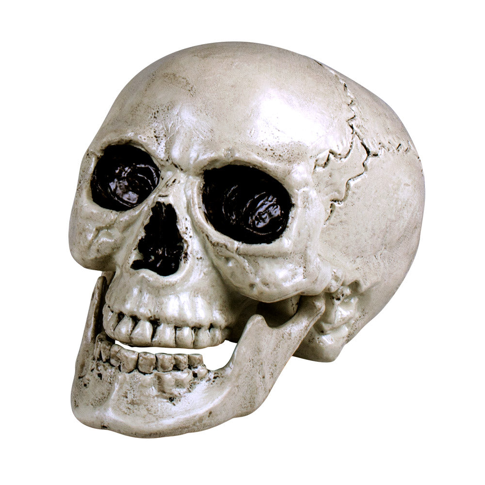 Crâne Maxilla Mâchoire Mobile – Décoration Halloween et Soirée Horreur