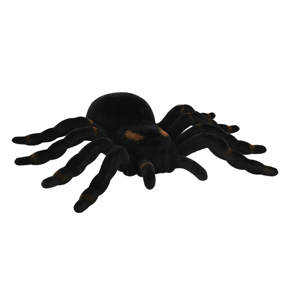 Araignée Tarantula Décoration Halloween