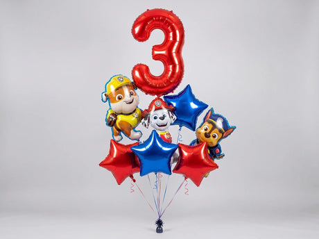 Bouquet de Ballons "Pat'Patrouille / Paw Patrol" - Anniversaire - Livraison 06