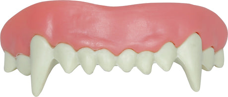 Dentier Vampire Haute Qualité – Accessoire Halloween