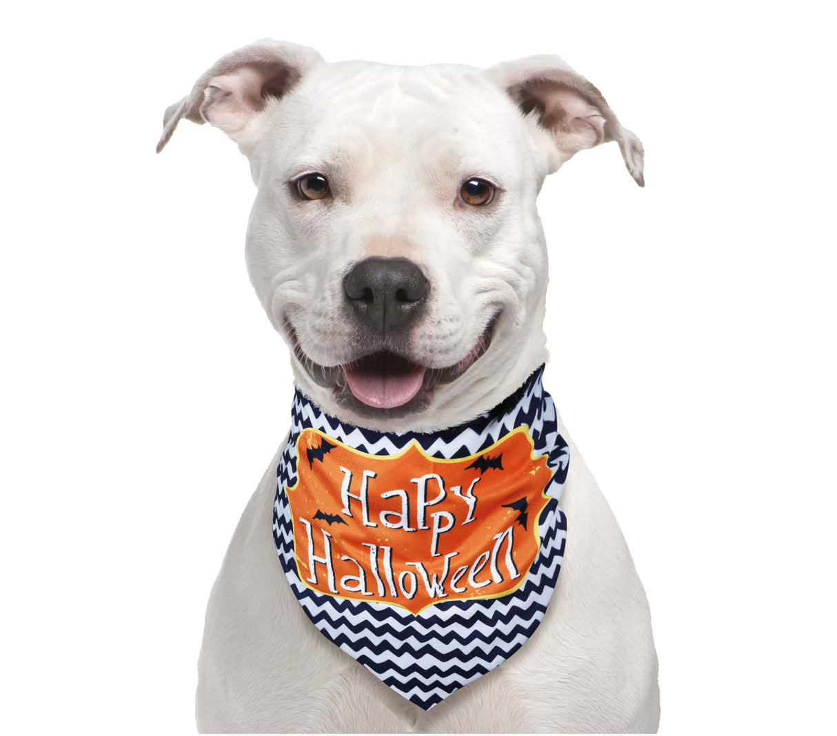 Foulard pour animaux Halloween - Noir et orange - Polyester