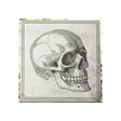 Serviettes en papier 33x33 cm pour Halloween, pack de 16, 3 plis, motif crâne au recto et cœur anatomique au verso, certifiées FSC, décoration de table éco-responsable