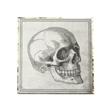 Serviettes en papier 33x33 cm pour Halloween, pack de 16, 3 plis, motif crâne au recto et cœur anatomique au verso, certifiées FSC, décoration de table éco-responsable